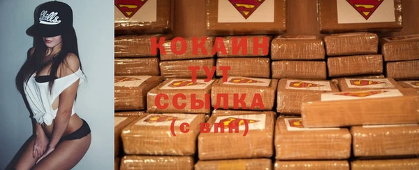 стаф Абаза