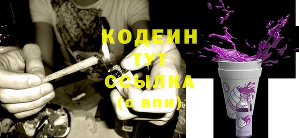 МДПВ Нефтегорск
