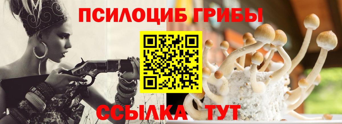 Киров  Галлюциногенные грибы ЛСД  Псилоцибиновые грибы ЛСД  Вход с VPN 