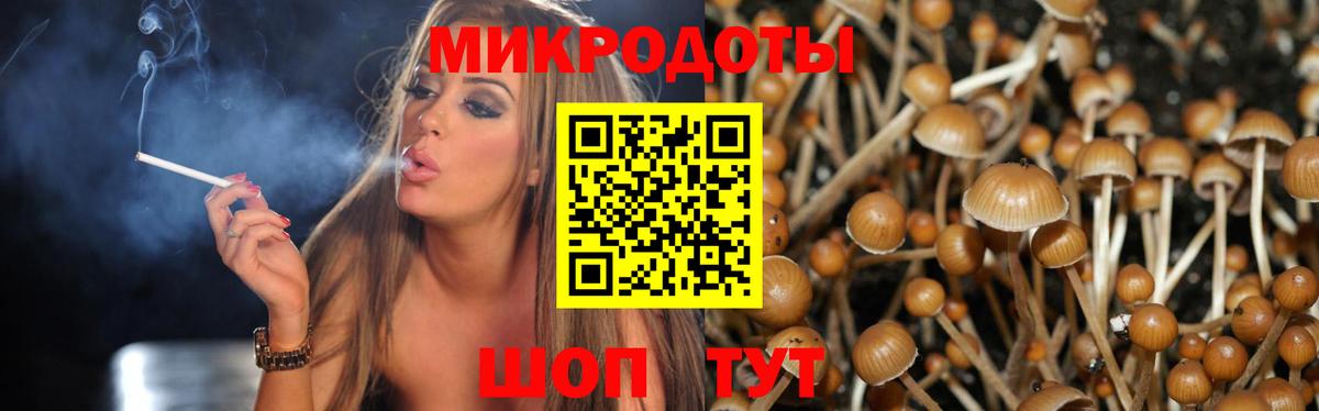 Псилоцибиновые грибы прущие грибы Киров